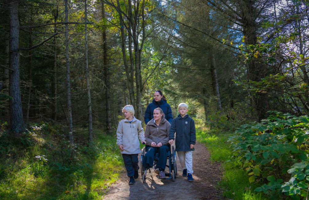 TFA handicap gateway