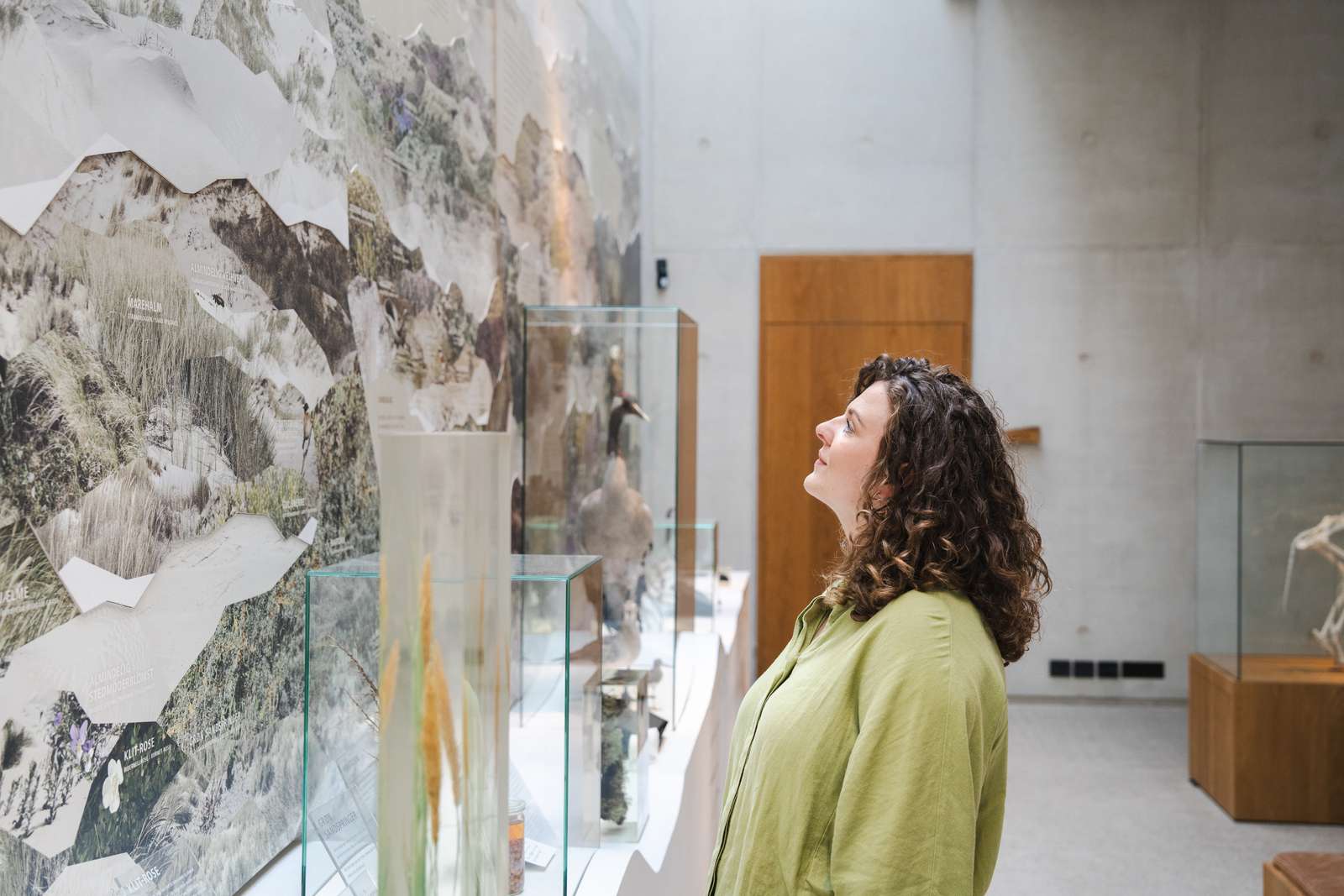 Nationalparkcenter Thy Anne